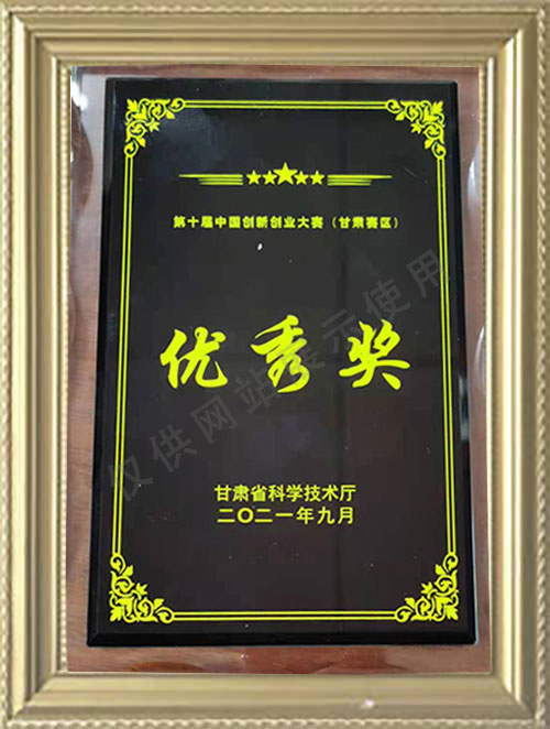优秀奖